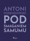 Pod smaganiem samumu (eBook, ePUB)