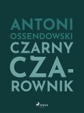 Czarny Czarownik (eBook, ePUB)