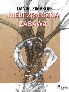 Niebezpieczna zabawa (eBook, ePUB) - Zimakoff, Daniel