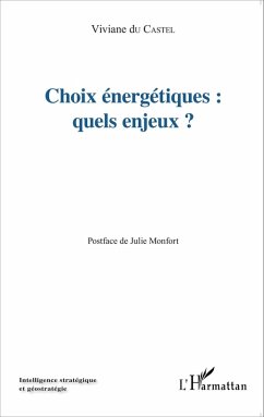 Cover Choix energetiques : quels enjeux? (eBook, ePUB)