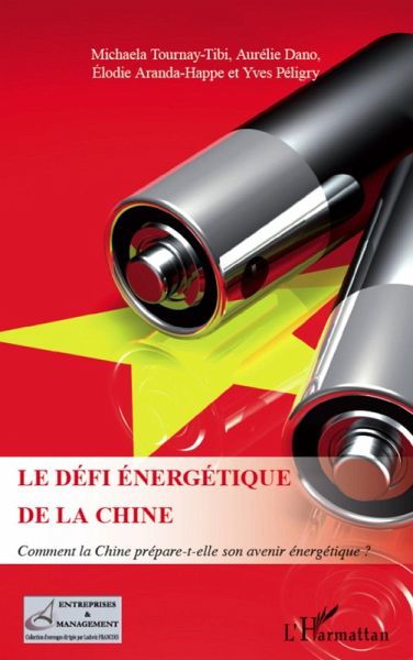Le defi energetique de la Chine (eBook, ePUB)