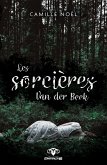 Les sorcieres Van der Beek (eBook, ePUB)