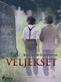 Veljekset (eBook, ePUB)