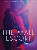The Male Escort (eBook, ePUB)