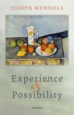 Experience and Possibility (eBook, ePUB)