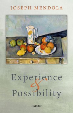 Experience and Possibility (eBook, ePUB) - Mendola, Joseph