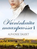 Kuninkaita maanpaossa I (eBook, ePUB)