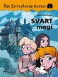 Det fortryllende slottet 1 - Svart magi... - Bild 1