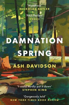 Damnation Spring (eBook, ePUB) - Davidson, Ash