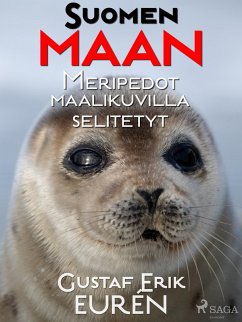 Cover Suomen maan Meripedot maalikuvilla selitetyt (eBook, ePUB)