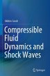 Compressible Fluid Dynamics and Shock... - Bild 1