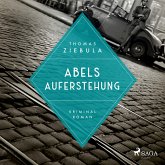 Abels Auferstehung / Paul Stainer Bd.2 (MP3-Download)