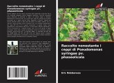 Raccolto nonostante i ceppi di Pseudomonas syringae pv. phaseolicola