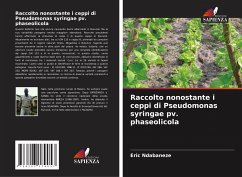 Raccolto nonostante i ceppi di Pseudomonas syringae pv. phaseolicola - Ndabaneze, Eric