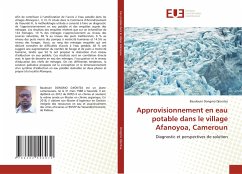 Approvisionnement en eau potable dans le village Afanoyoa, Cameroun - Dongmo Djiontsa, Baudouin