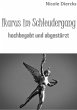 Ikarus im Schleudergang (eBook, ePUB) - Bild 1