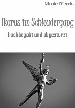Ikarus im Schleudergang (eBook, ePUB)