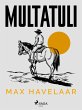 Max Havelaar (eBook, ePUB) - Bild 1