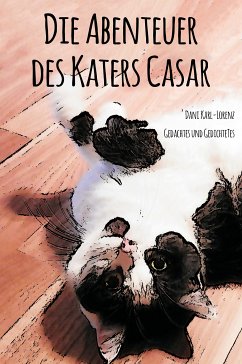 Die Abenteuer des Katers Casar (eBook, ePUB) - Karl-Lorenz, Dani