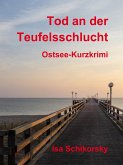 Tod an der Teufelsschlucht (eBook, ePUB)
