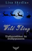 Weihnachten in Ballygannon (eBook, ePUB)