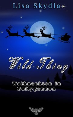 Cover Weihnachten in Ballygannon (eBook, ePUB)