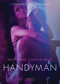 Handyman - en erotisk novelle (eBook, ePUB)