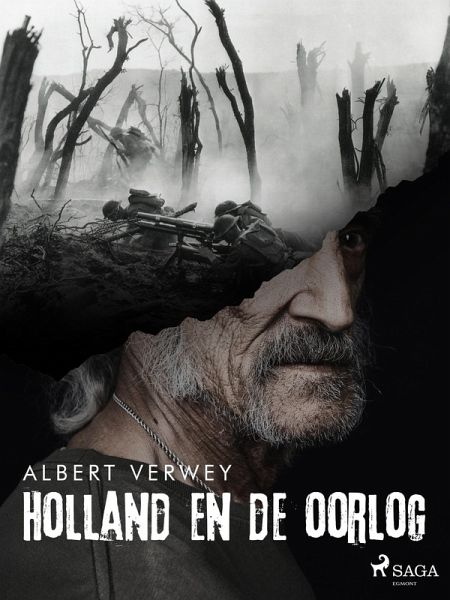 Holland en de oorlog (eBook, ePUB)