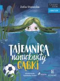 Tajemnica namokniętej gąbki (eBook, ePUB)