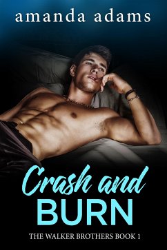 Crash and Burn (eBook, ePUB) - Adams, Amanda