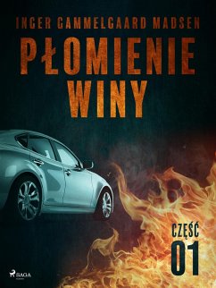Cover Plomienie winy: czesc 1 (eBook, ePUB)