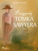 Przygody Tomka Sawyera (eBook, ePUB)