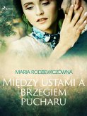 Między ustami a brzegiem pucharu (eBook, ePUB)