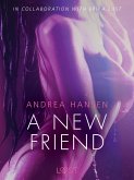 A New Friend - erotic short story (eBook, ePUB)