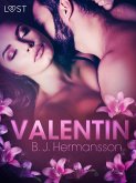 Valentin - eroottinen novelli (eBook, ePUB)