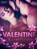 Valentine - Erotic Short Story (eBook, ePUB)