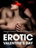 Erotic Valentine s Day - 5 erotische verhalen (eBook, ePUB)