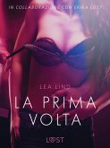 La prima volta - Breve racconto erotico (eBook, ePUB)