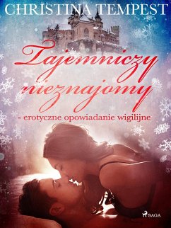 Cover Tajemniczy nieznajomy - erotyczne opowiadanie wigilijne (eBook, ePUB)