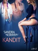 Kandit - eroottinen novelli (eBook, ePUB)