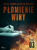 Płomienie winy: część 3 (eBook, ePUB)