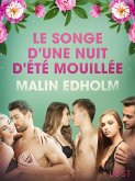 Le Songe d'une nuit d'été mouillée -Une nouvelle érotique (eBook, ePUB)