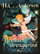 Brellni drengurinn (eBook, ePUB) - Bild 1