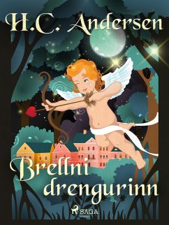 Cover Brellni drengurinn (eBook, ePUB)
