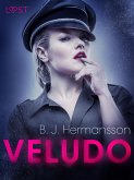 Veludo — Conto Erótico (eBook, ePUB)