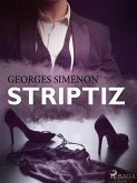 Striptiz (eBook, ePUB)