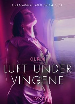 Cover Luft under vingene - erotisk novelle (eBook, ePUB)