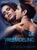 De vreemdeling - erotisch verhaal (eBook, ePUB)