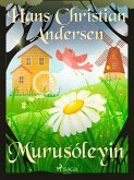 Murusóleyin (eBook, ePUB)