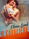 Il cavaliere - Breve racconto erotico (eBook, ePUB) Il cavaliere - Breve racconto erotico (eBook, ePUB)